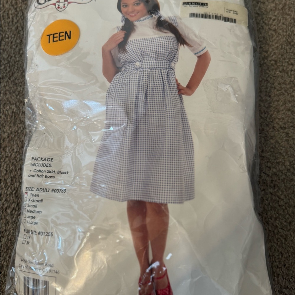Vintage Teen Dorothy Dress & Top
